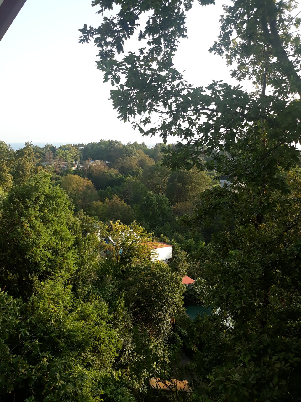 Гостиница Коралл Головинка-177