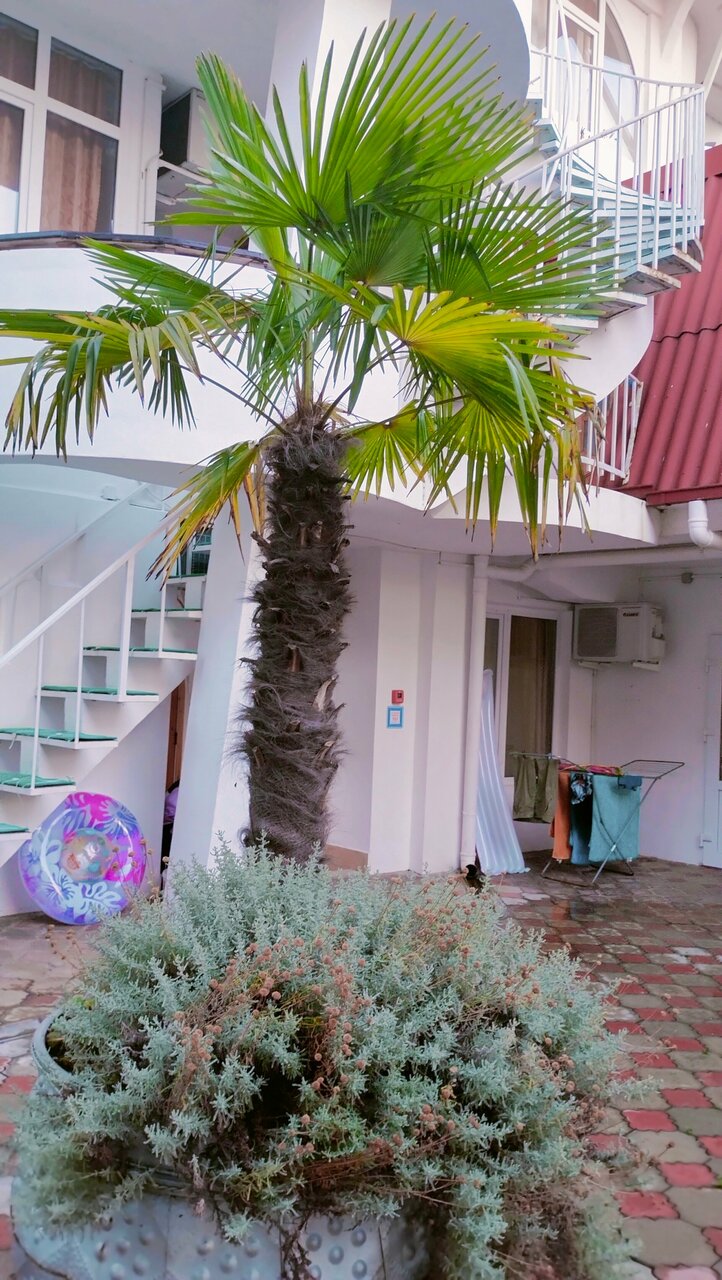 Гостиница Коралл Головинка-93