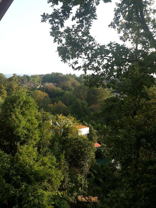 Гостиница Коралл Головинка-176