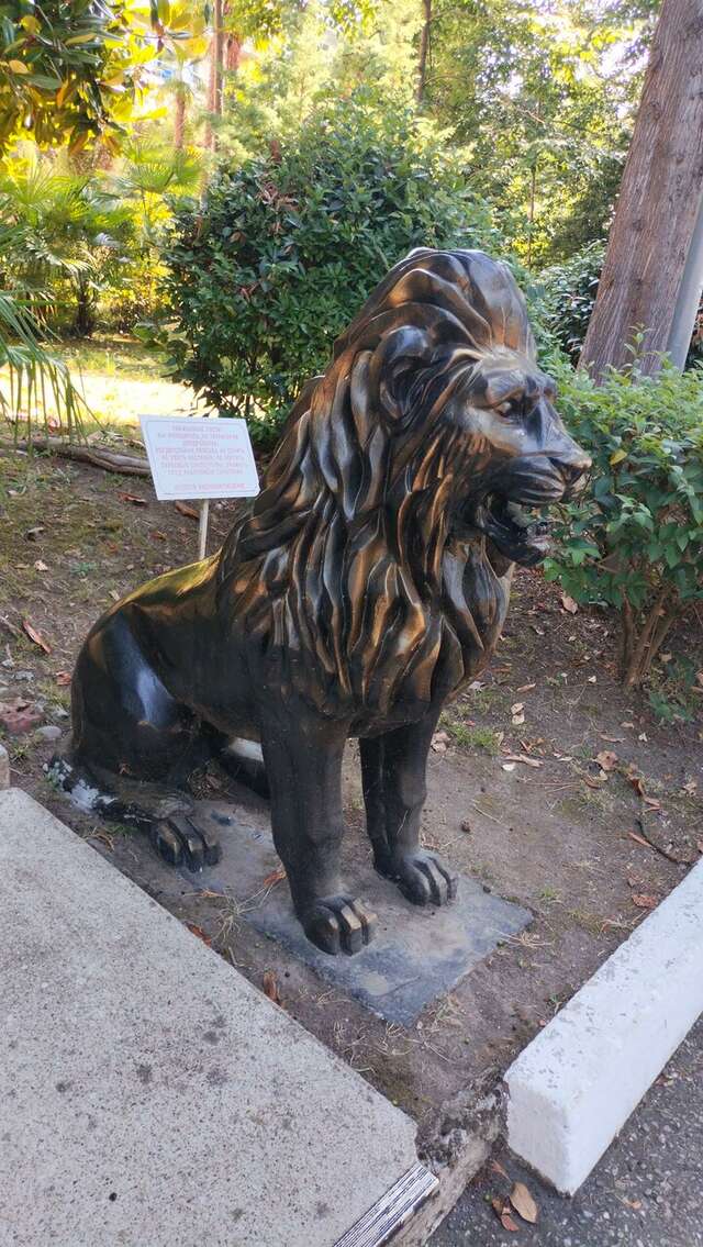 Гостиница Коралл Головинка-61