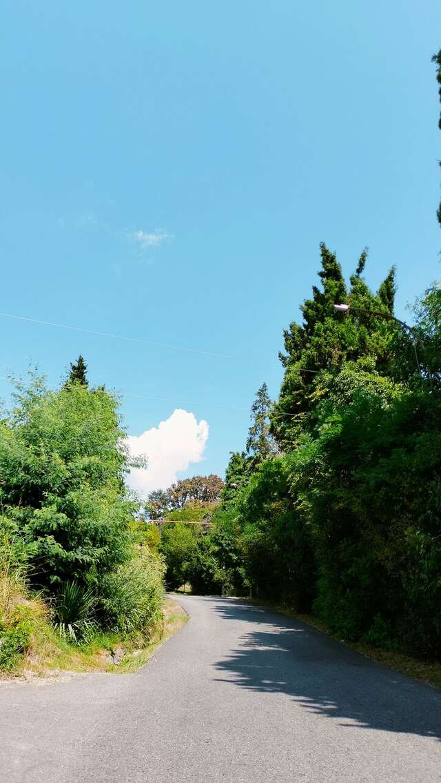 Гостиница Коралл Головинка-144