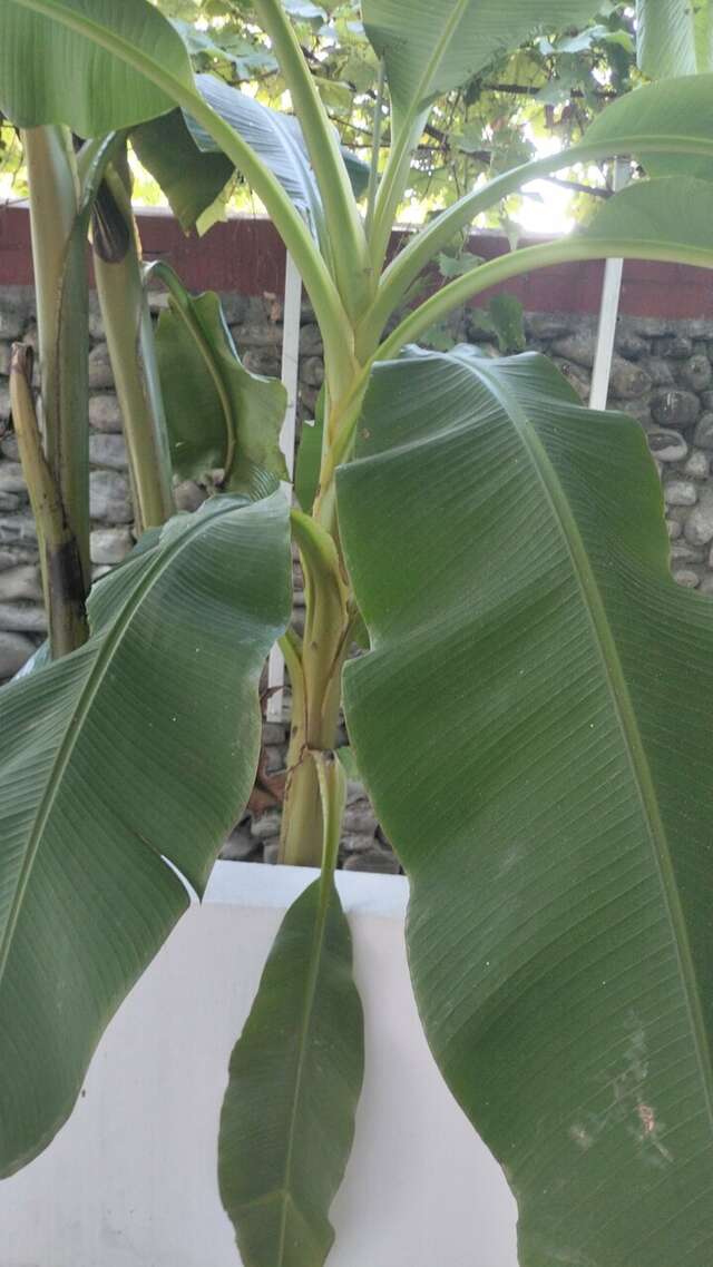 Гостиница Коралл Головинка-127