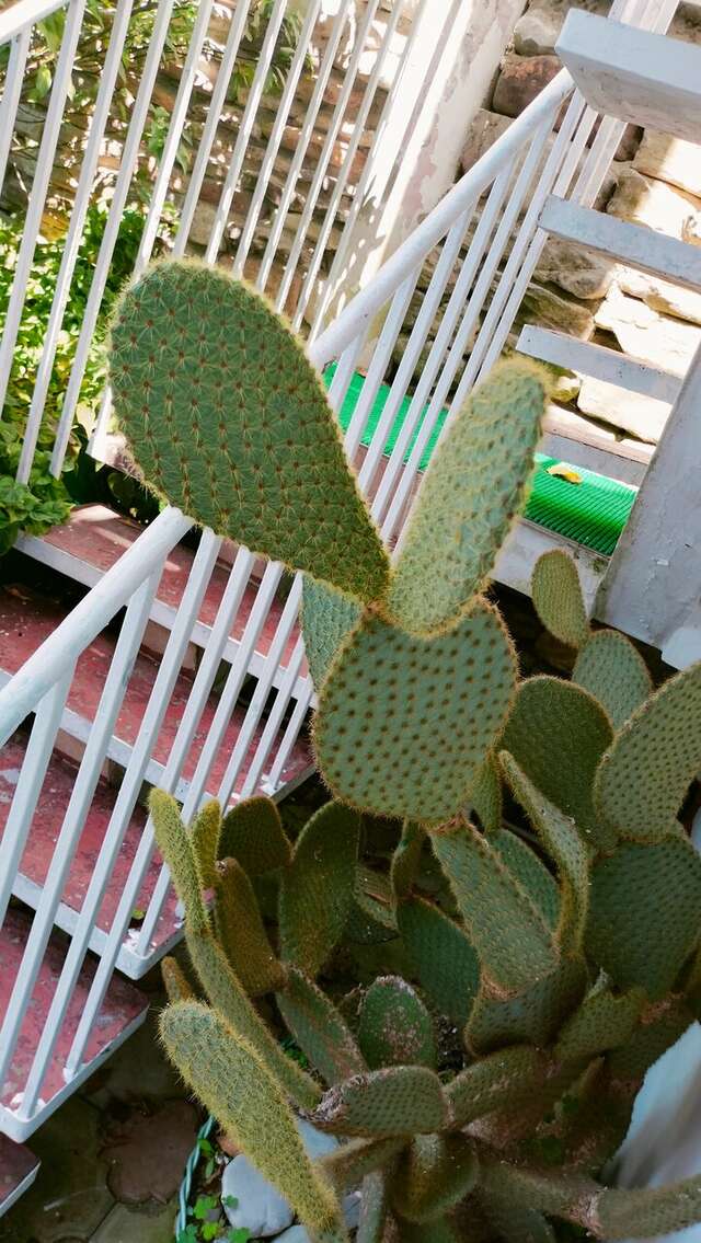 Гостиница Коралл Головинка-72