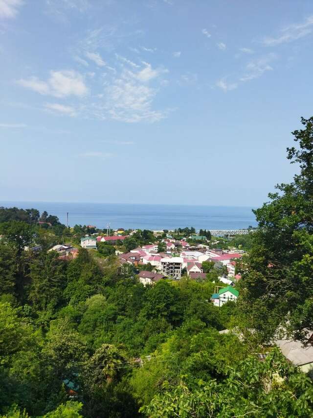 Гостиница Коралл Головинка-134