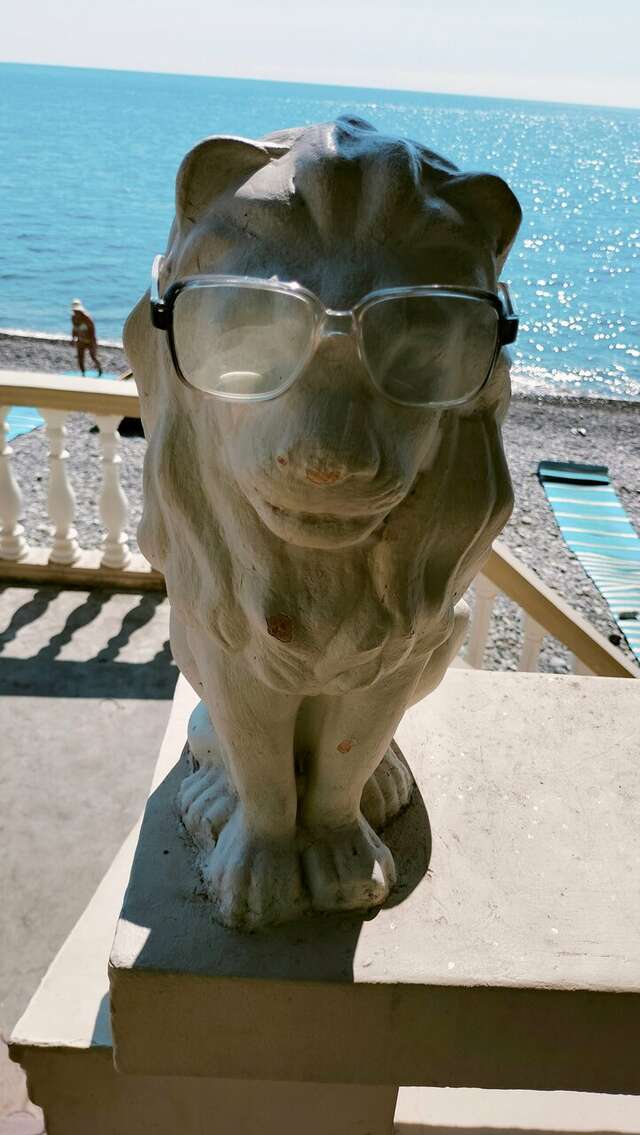 Гостиница Коралл Головинка-68